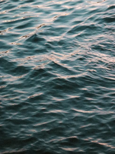 Serene view of gentle ocean waves reflecting the sunrise light over the water.