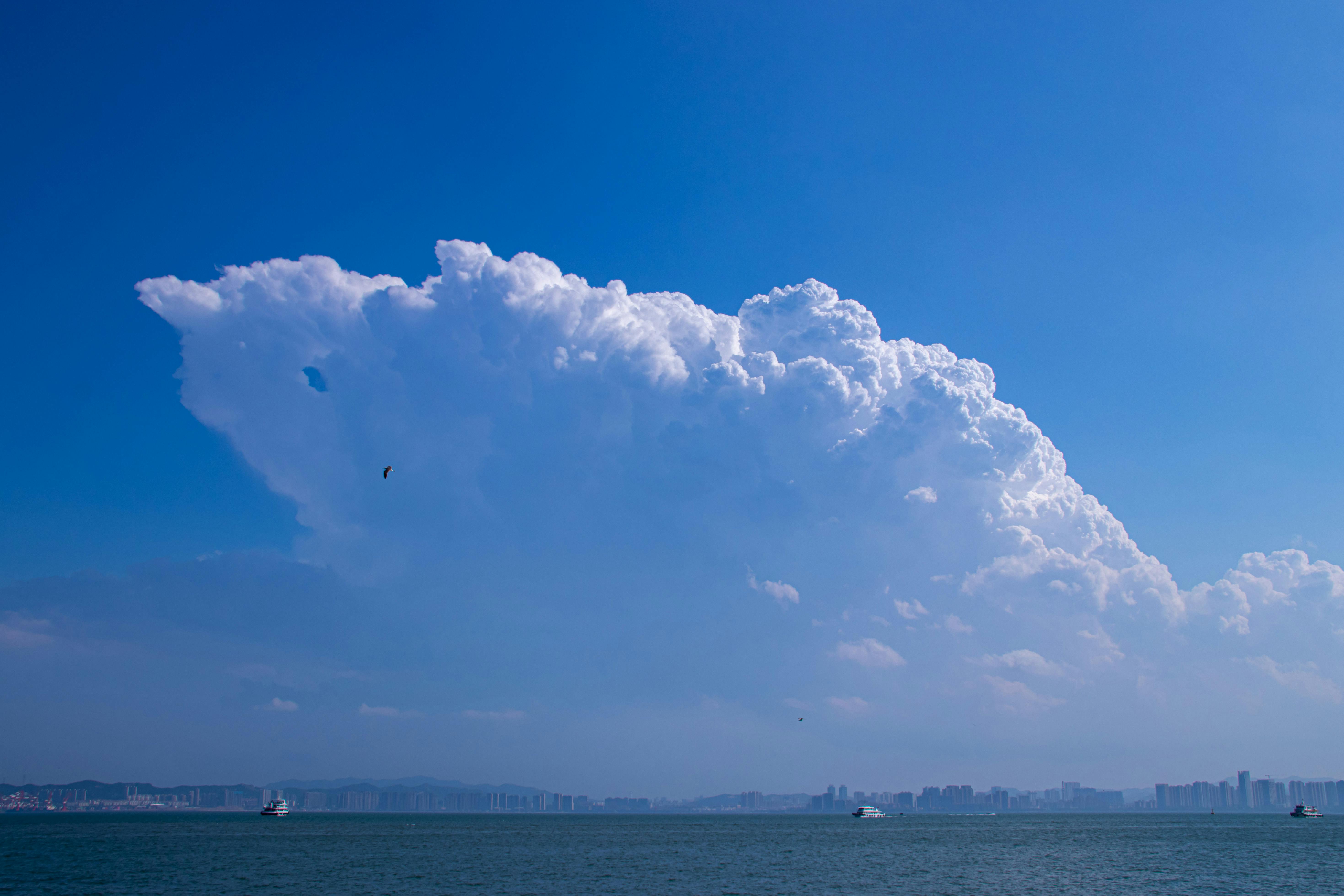 Pokémon Pokopia: Best Cloud Islands &amp; Developer Island Codes — Photo by Henley Wang on Pexels