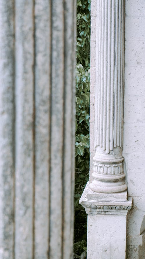 Základová fotografie zdarma na téma bílá, detail, sloup