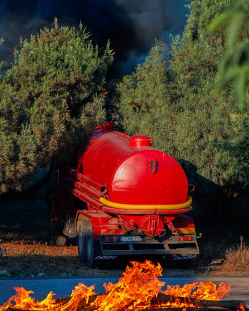 A Firetruck in a Forest 