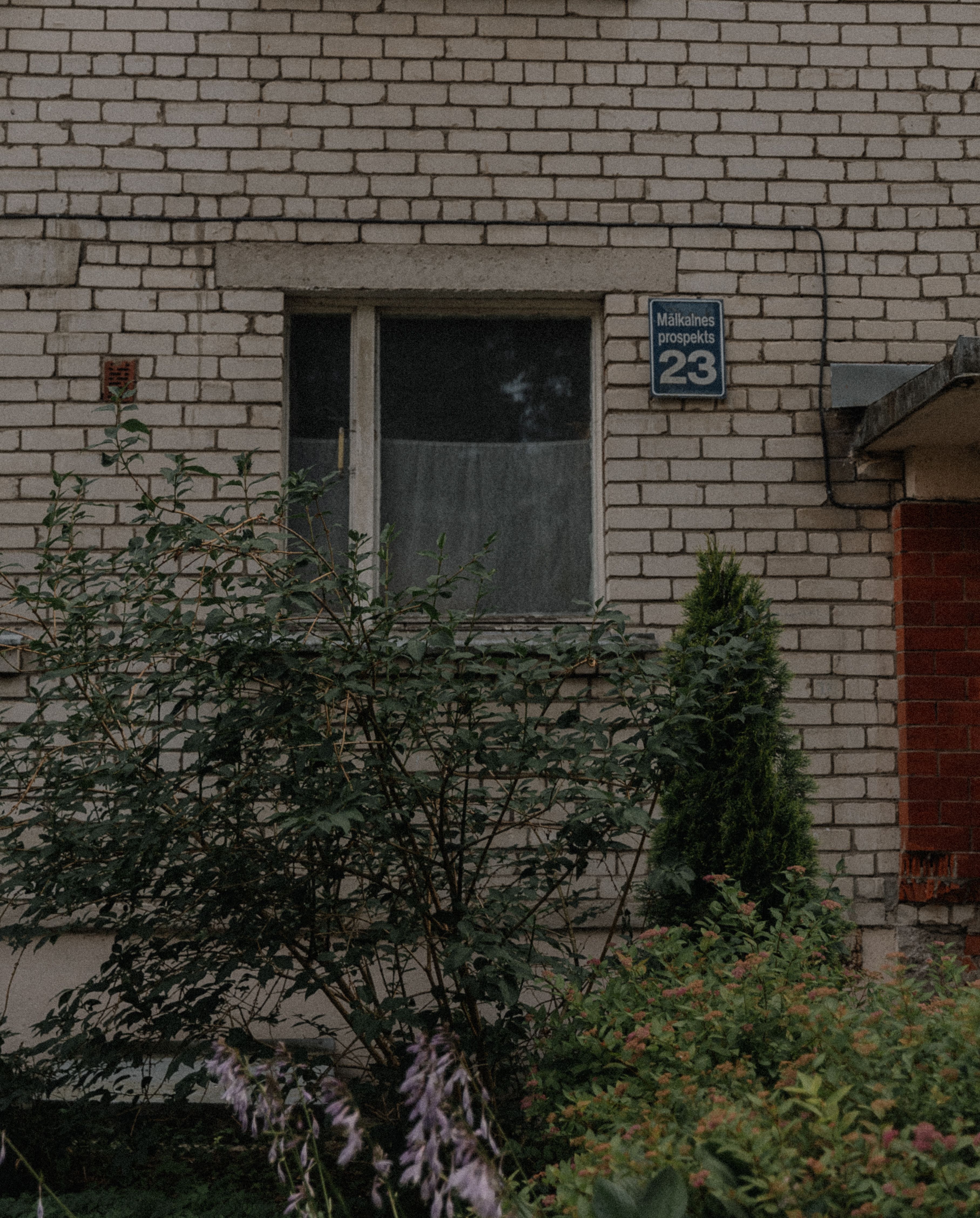 Exterior view of brick residential building facade with window and lush greenery.