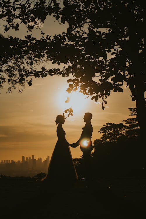 Silhouettes of Newlywed Couple at Sunset