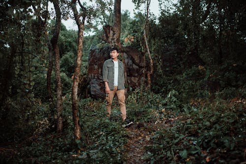 Kostnadsfri bild av amazon skog resa i tamil, barrträd, basutrustning för bergsklättring
