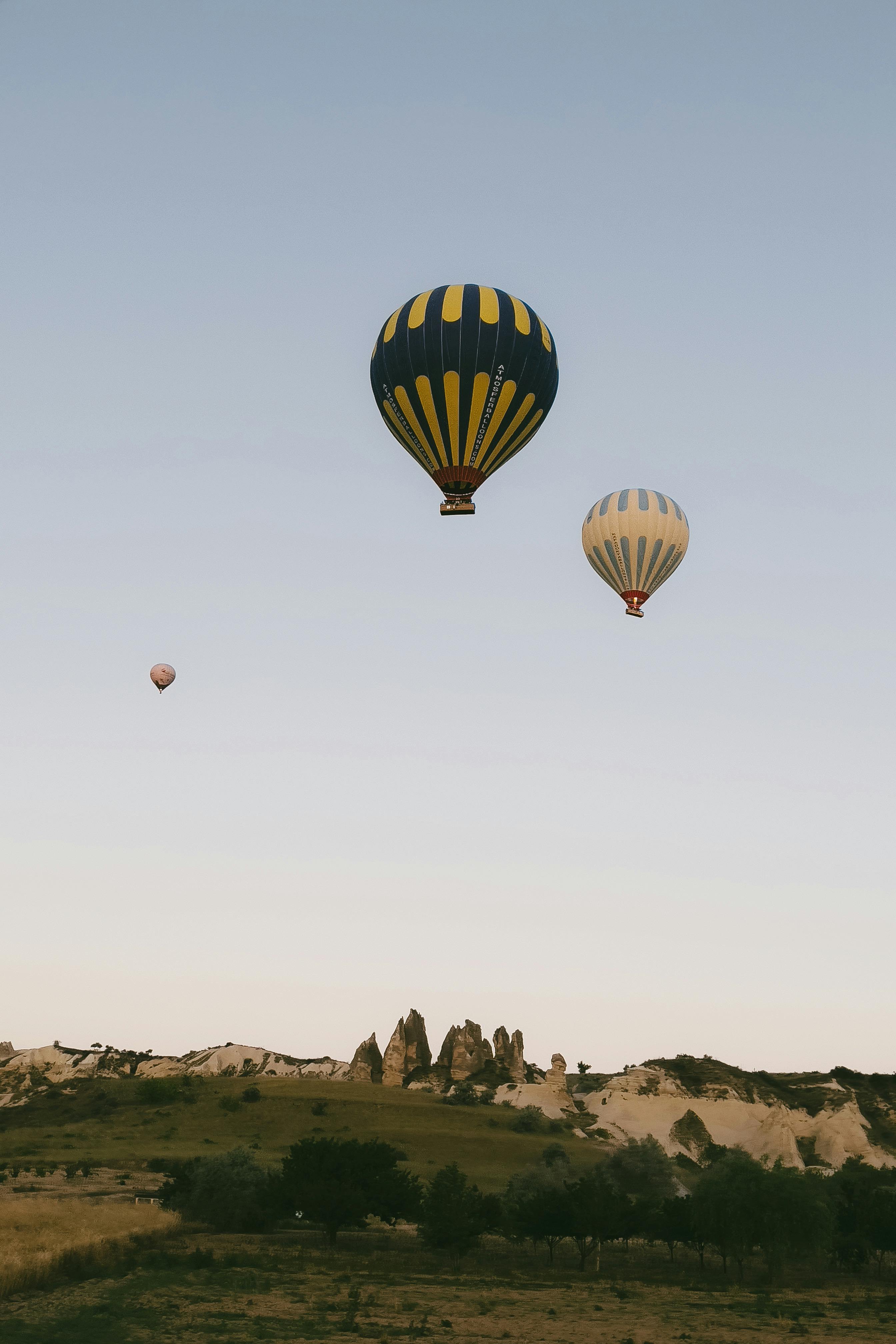 Hot Air Balloon in Savannah · Free Stock Photo