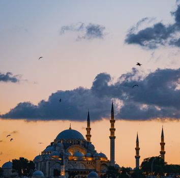 Meyhane dinner in Beyoğlu — Istanbul