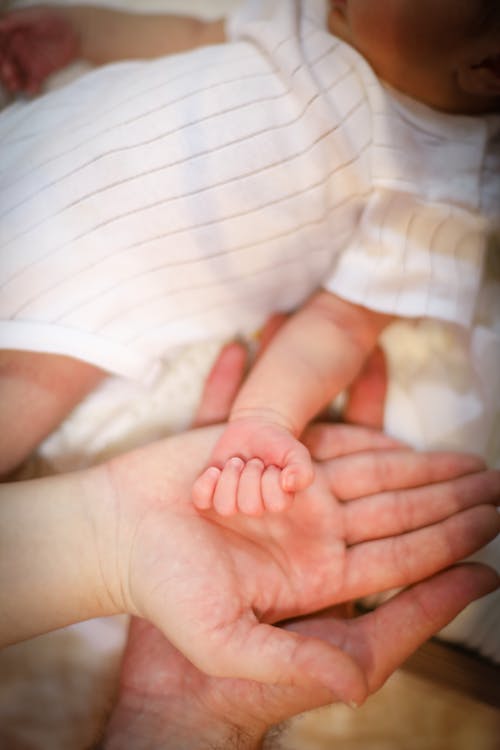 Baby Hand on Adult Hand