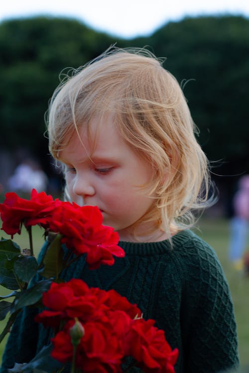 Cute Little Girl Smelling Red Roses