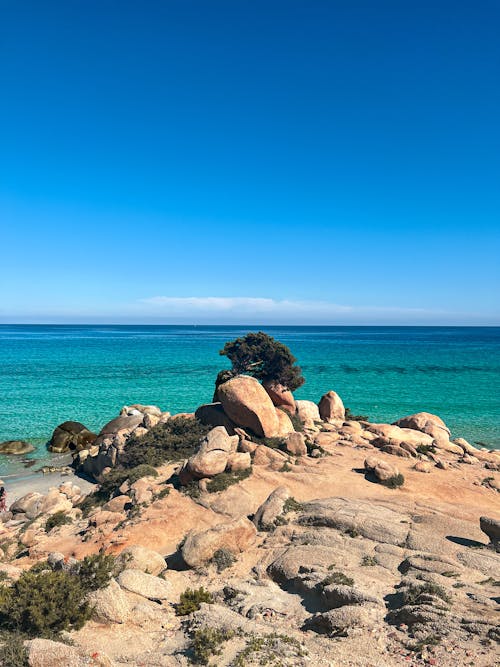 Foto d'estoc gratuïta de bellesa natural, fons de pantalla per al mòbil, horitzó