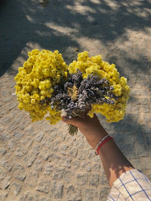 Woman Hand Holding Yellow Flowers