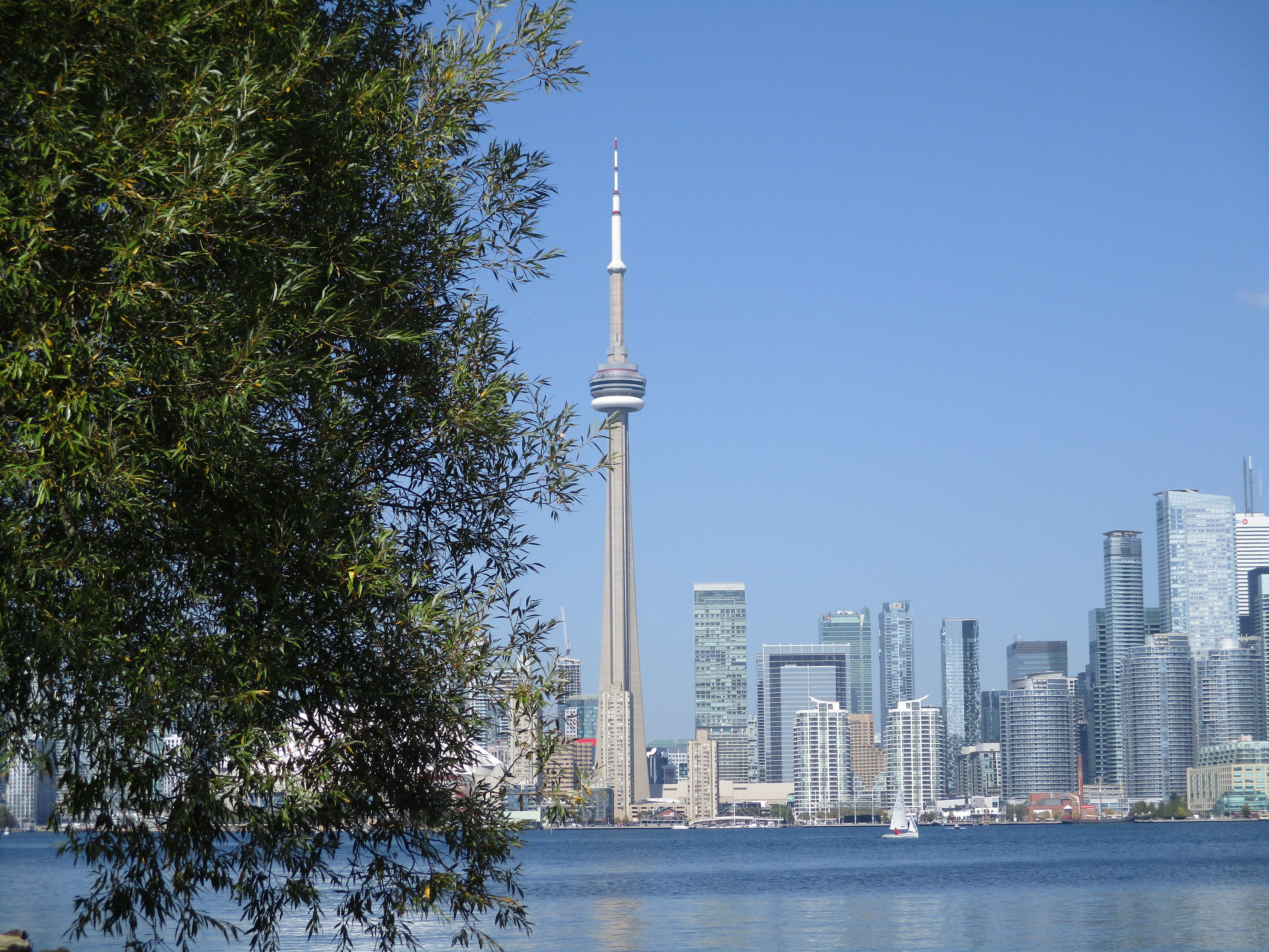 Toronto waterfront filled with World Cup supporters, stadium lights and evening reflections across Lake Ontario