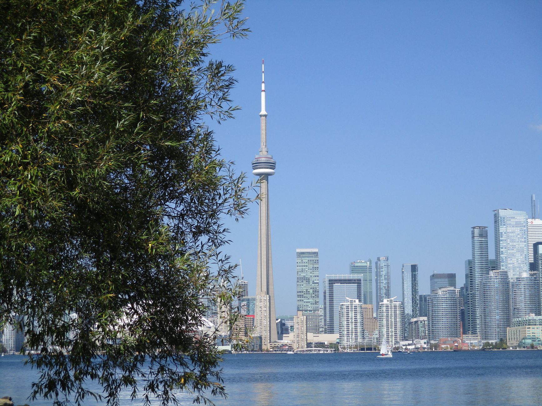 Toronto waterfront filled with World Cup supporters, stadium lights and evening reflections across Lake Ontario