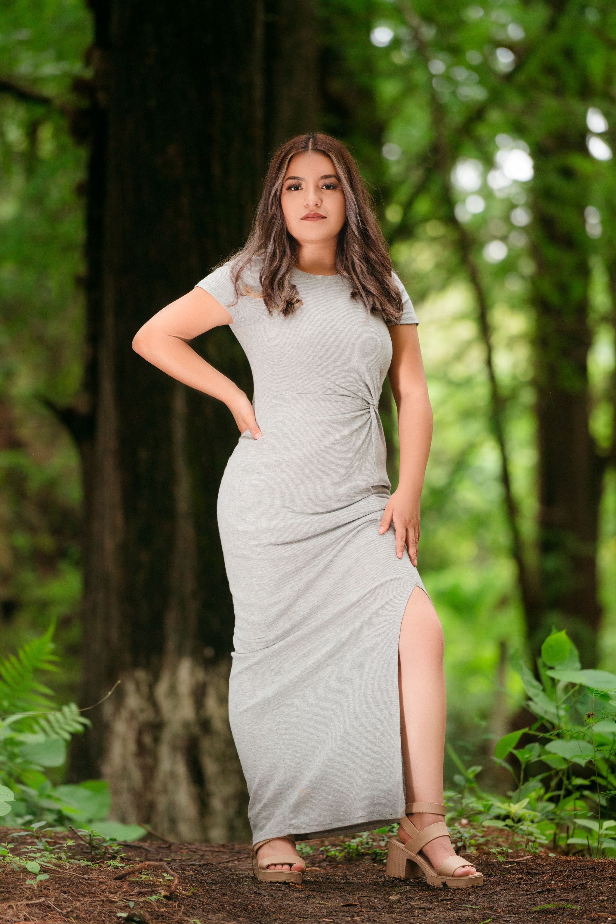 Young Woman in a Dress Posing in the Forest · Free Stock Photo