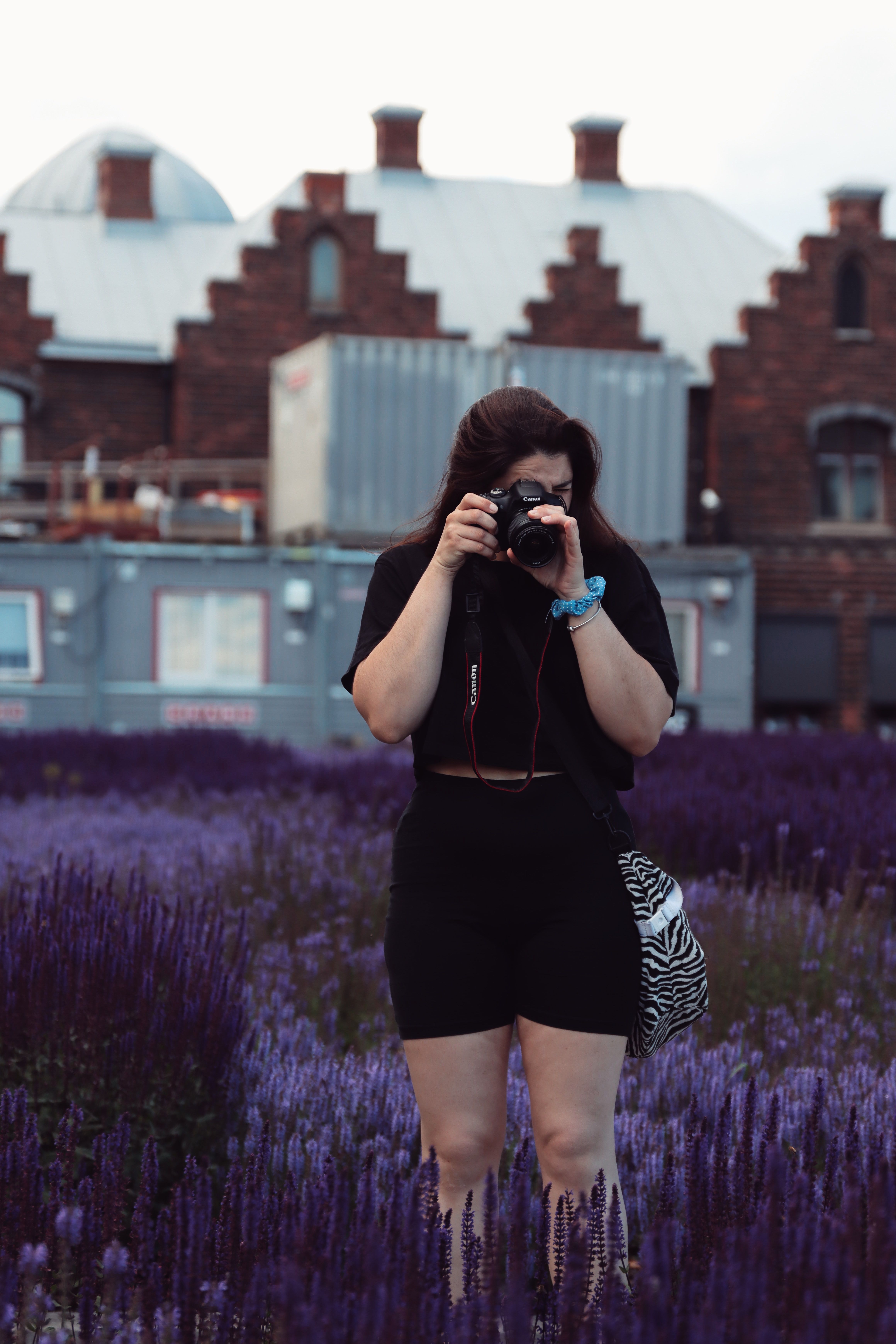 Young woman capturing photos in a lavender field near old buildings in Jönköping, Sweden.