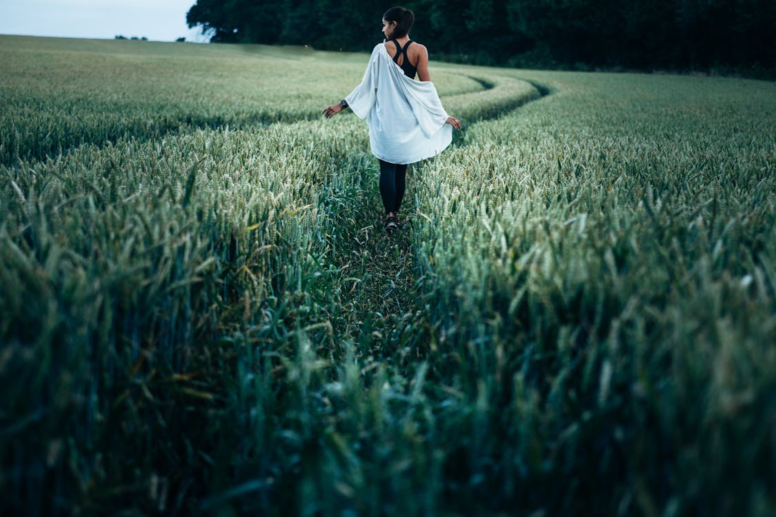 Woman Walking in the Rice Plant Field during Daytime