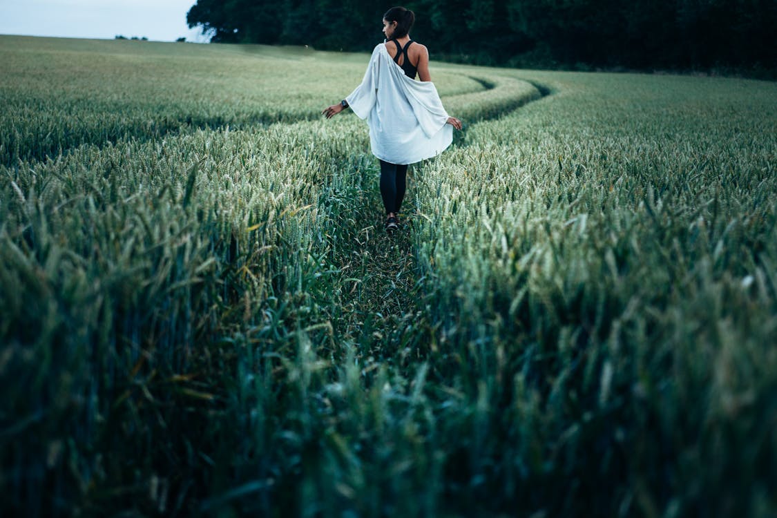 бесплатная Женщина идет в поле рисовых растений в дневное время Стоковое фото