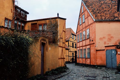 Traditional Buildings in a Narrow Alley in Denmark 