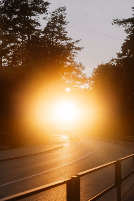 Sunset sunlight pouring through trees over a road, creating a warm glow in a forest setting.