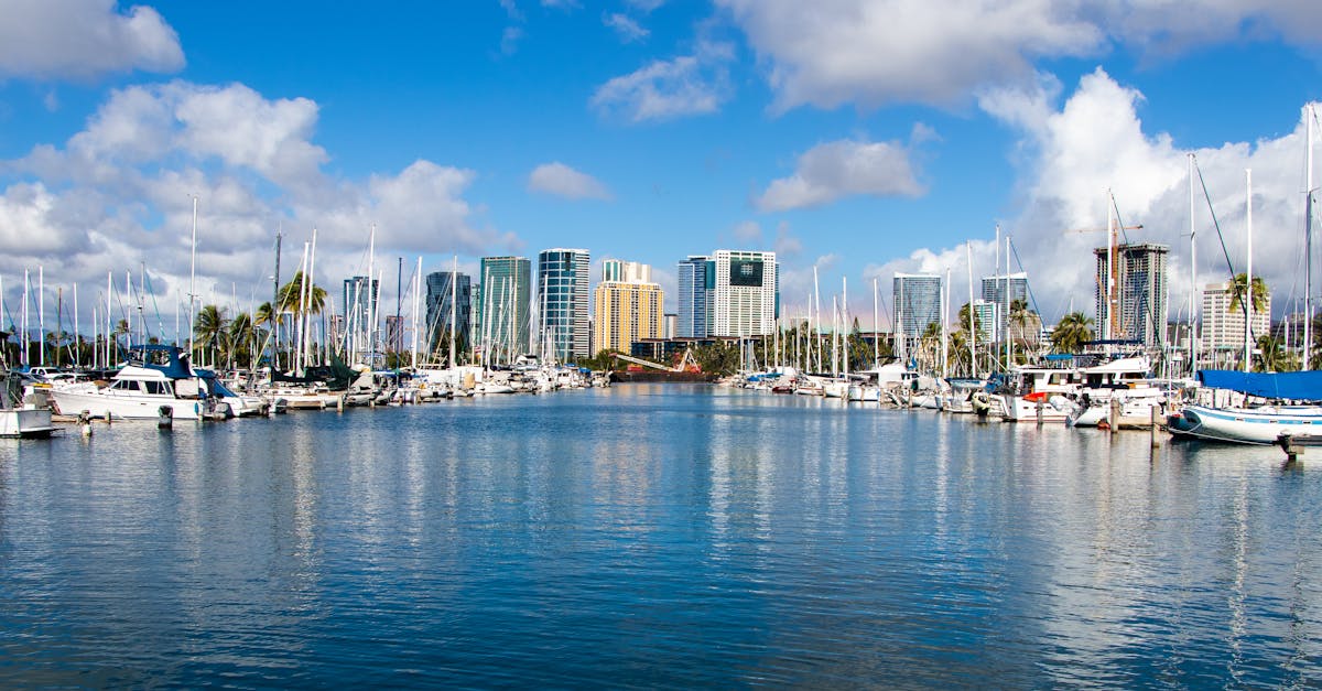 Photo by Brandon McClain Serene scene of Ala Wai Boat Harbor with city skyscrapers and boats in Honolulu, Hawaii.