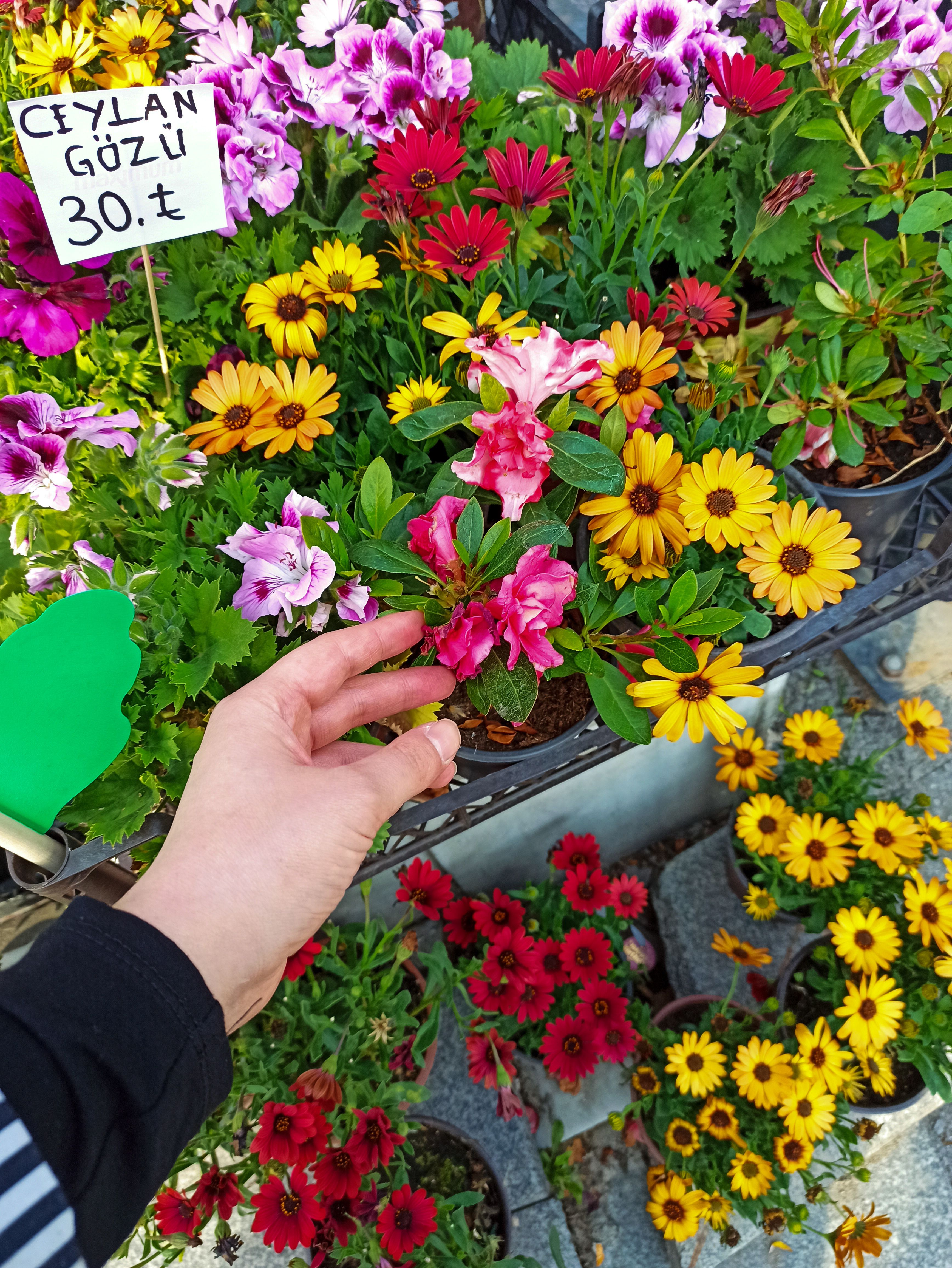 A vibrant display of assorted flowers being selected by a shopper's hand at an outdoor market.