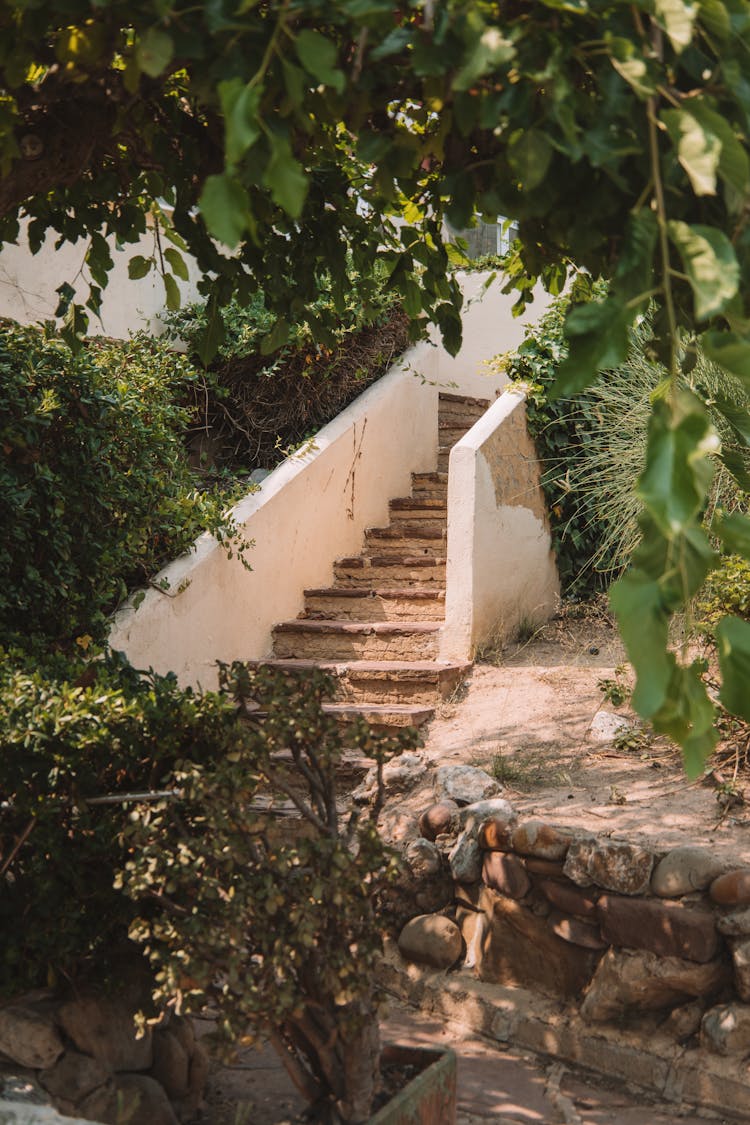 Bushes Around Stone Stairs