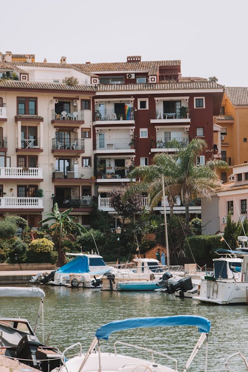 Buildings and Palm Trees near Water in Town