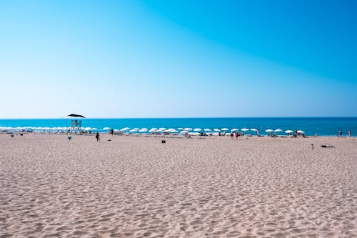 View of a Beach with Umbrellas and People Sunbathing 