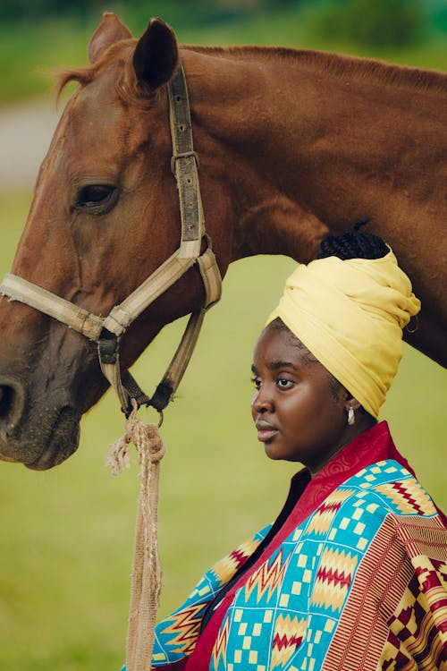 Fotos de stock gratuitas de animal, caballo, caballo marrón