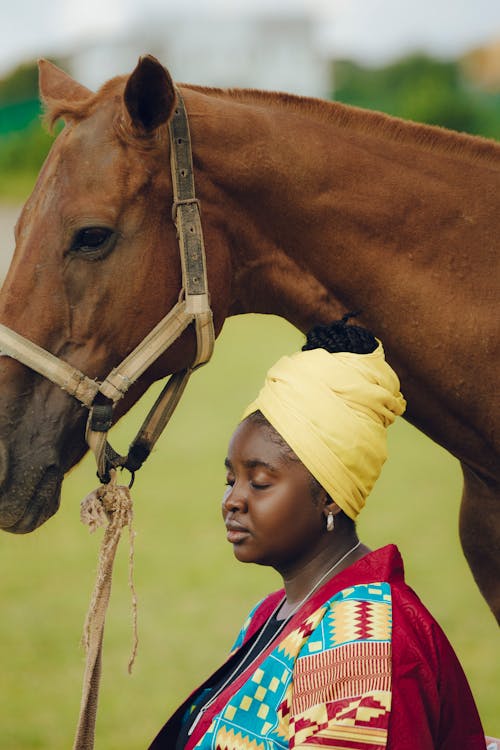 Ilmainen kuvapankkikuva tunnisteilla afrikkalainen nainen, eläin, hevonen