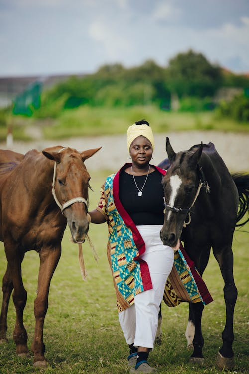 Ilmainen kuvapankkikuva tunnisteilla afrikkalainen nainen, eläimet, hevoset