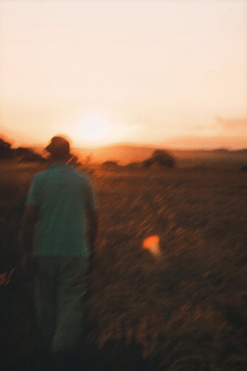 Blurry Photo of a Man Walking on a Meadow at Sunset