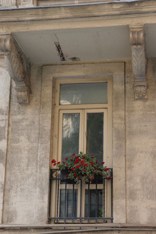 Free An elegant urban balcony features classic architecture and vibrant red flowers, adding charm to the building facade. Stock Photo