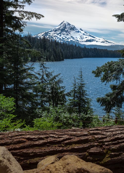 Vue Panoramique Sur La Montagne Enneigée