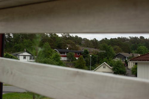 경치, 나무, 노르웨이의 무료 스톡 사진