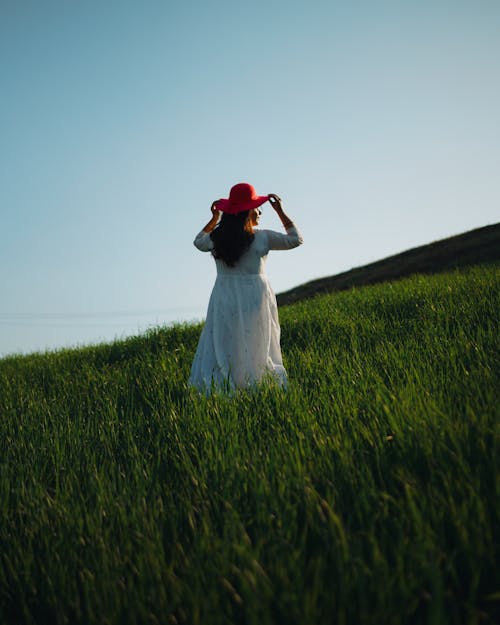 Fotos de stock gratuitas de cielo azul, cielo limpio, elegante