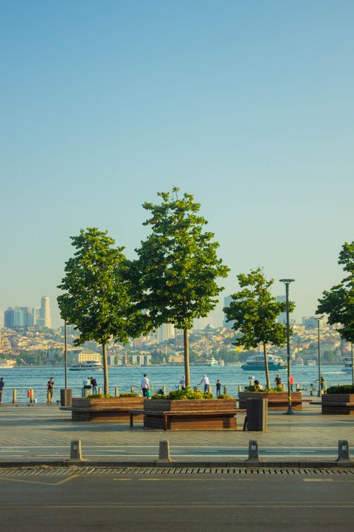 Free Vibrant urban promenade by the sea with trees and cityscape on a sunny summer day. Stock Photo
