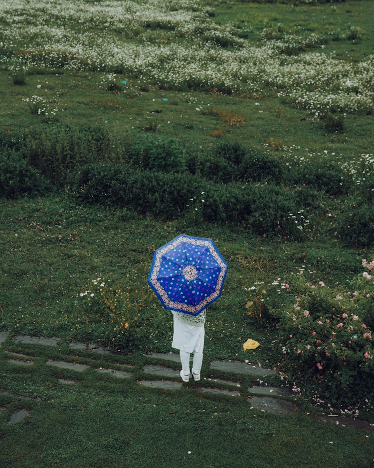 Person With Umbrella On Meadow