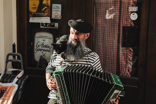 Безкоштовне стокове фото на тему «accordion, beard, cat»