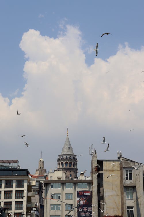 Základová fotografie zdarma na téma cestování, galata věž, Istanbul