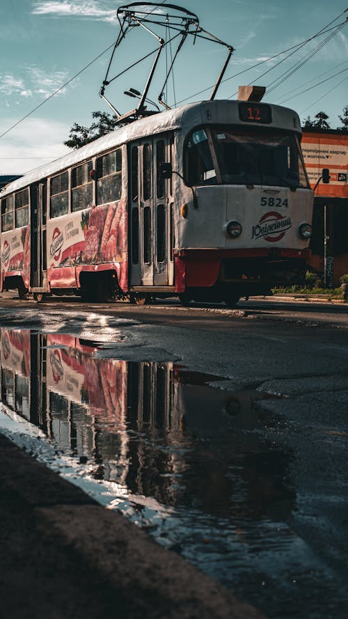 bağbozumu, beyaz üniforma, dikey atış içeren Ücretsiz stok fotoğraf