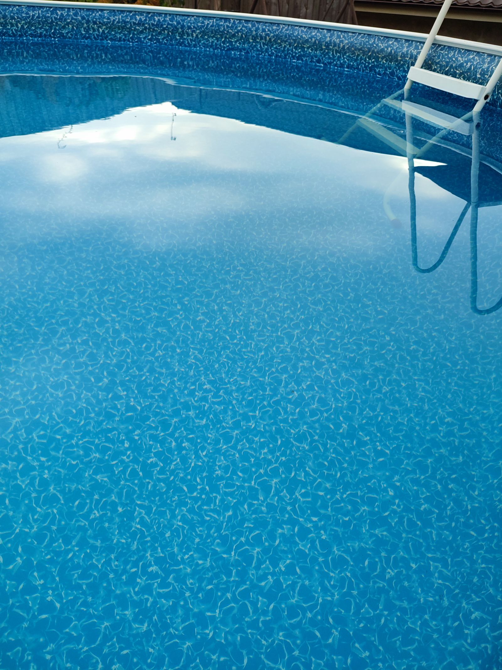 Clean residential above-ground swimming pool with ladder — Is My Florist Website Costing Me Customers Miami Lakes?