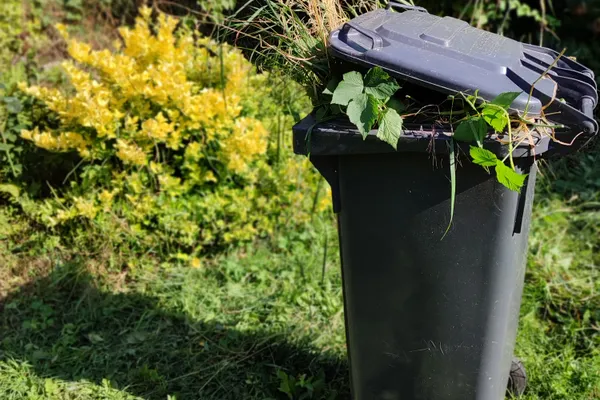 Yard Waste 10 Yard Dumpster Rental in Wildwood, FL