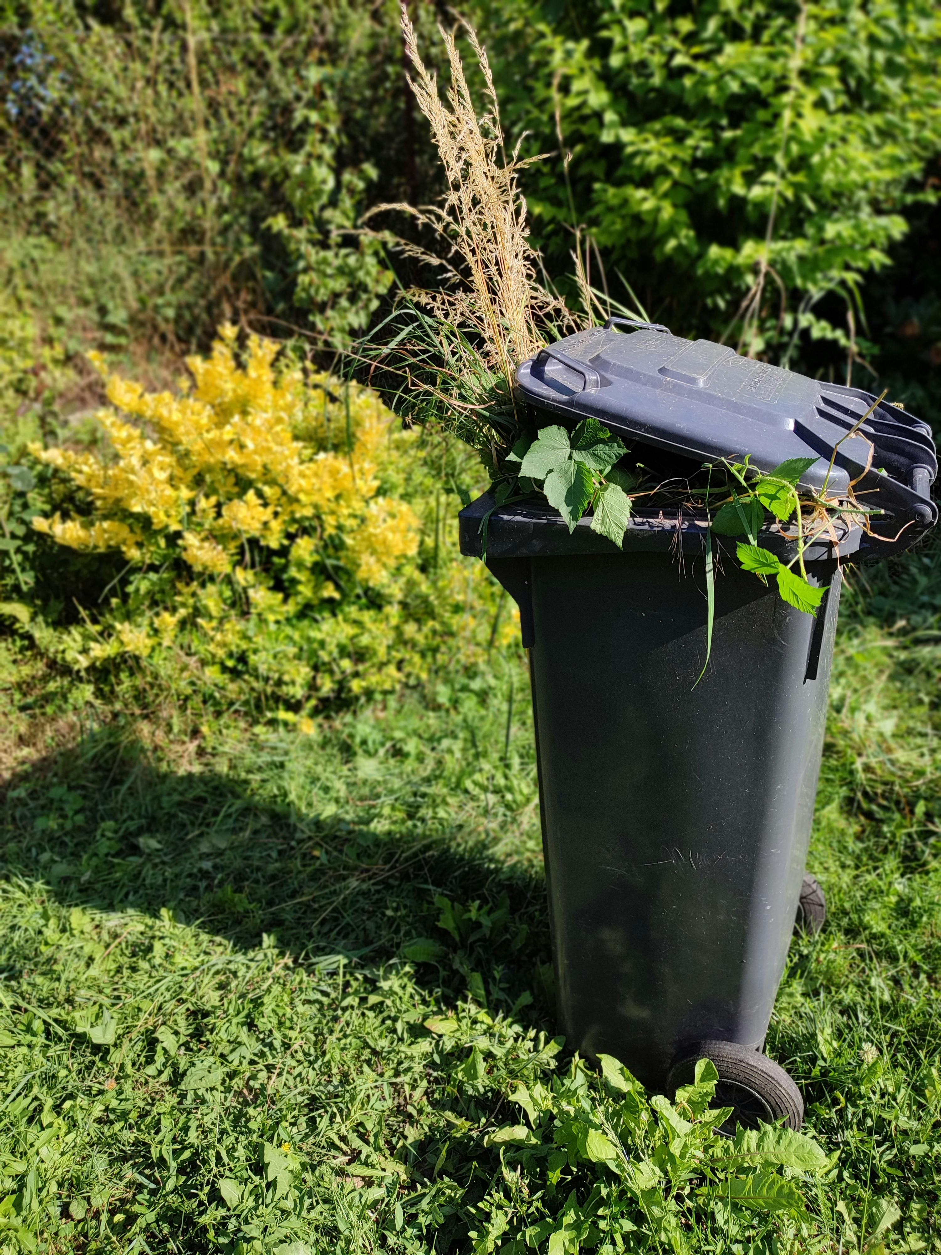 A Trash Can Filled with Leaves and Branches · Free Stock Photo