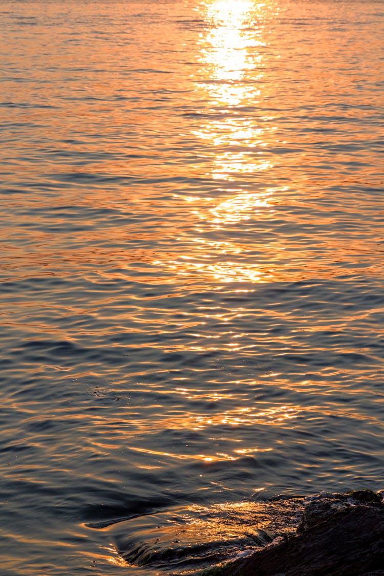 Setting Sun Reflecting In Water Surface