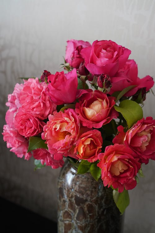 Roses in a Vase 
