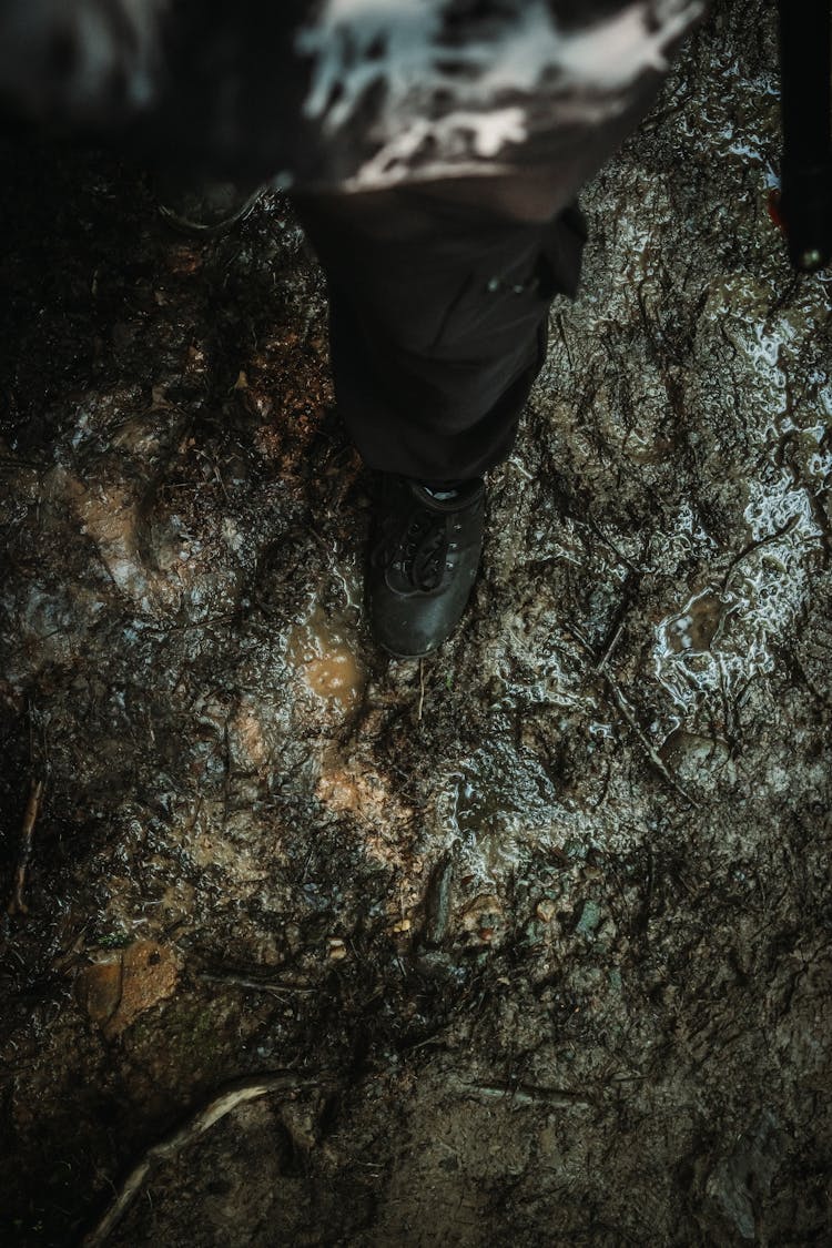 Leg Resting On Wet Rock