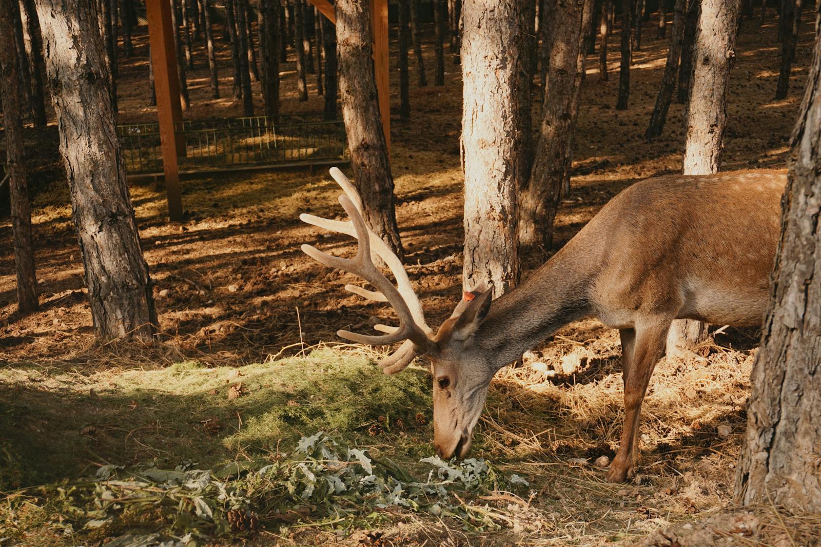 3-000-feeding-program-philippines-100-pexels