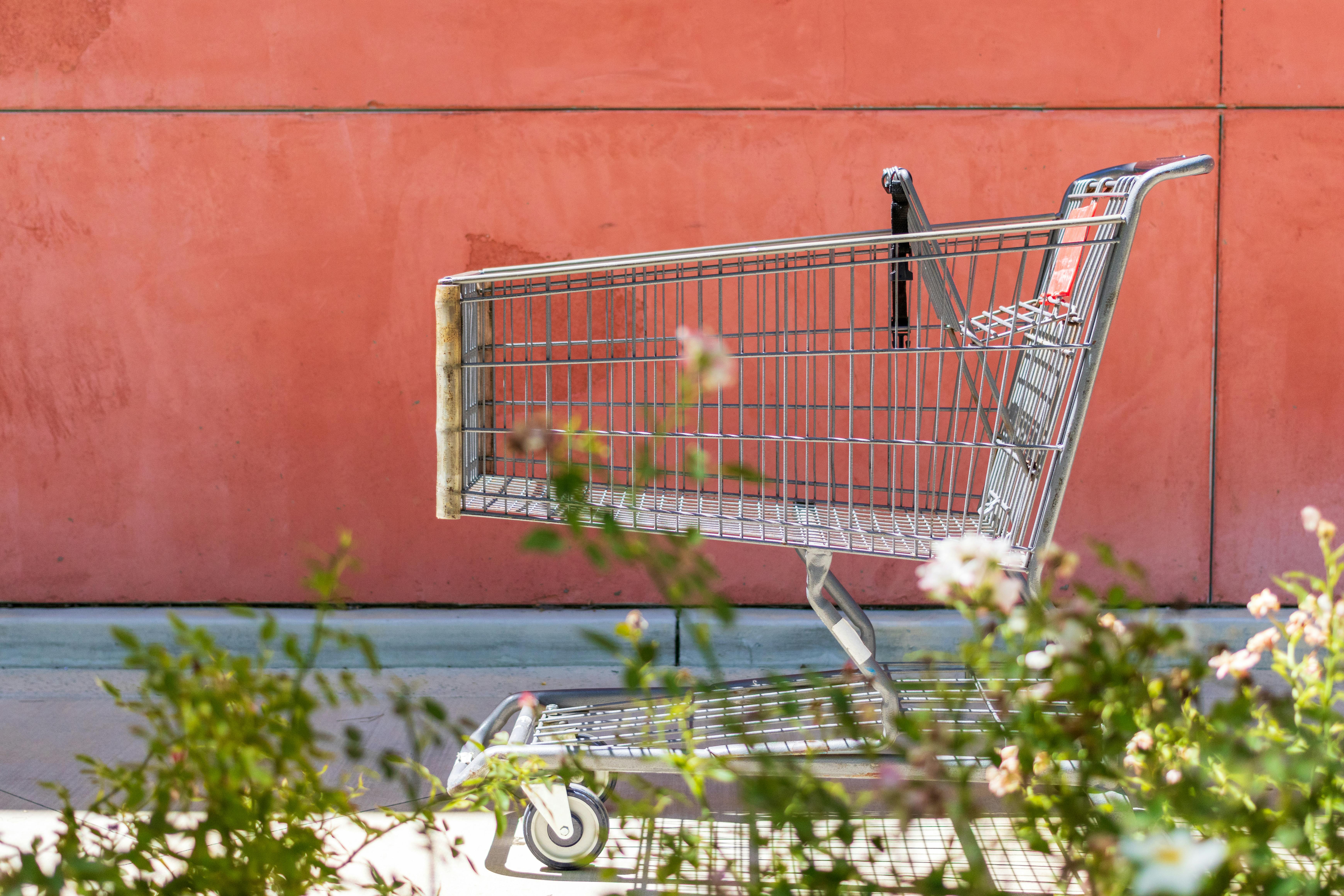 Shopping cart in front of red wall with plants in foreground creates a vibrant commercial scene.