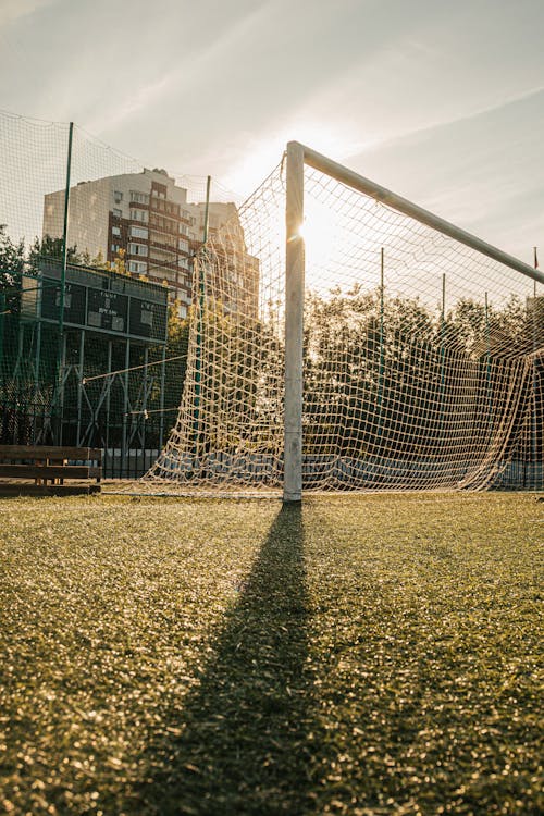 Kostnadsfri bild av fotboll, gräs, kasta