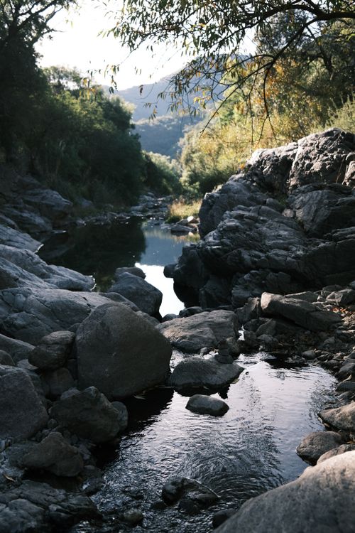Free A tranquil stream flowing through a rocky forest landscape under soft daylight. Stock Photo