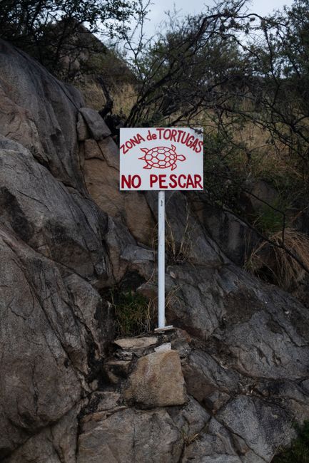 Sign warning to not fish in turtle-protected zone on rocky landscape.